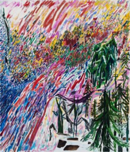 Shara Hughes, Seeing and Skipping