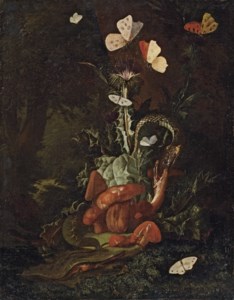 A forest floor landscape with a thistle, funghi, moths, a lizard and snakes