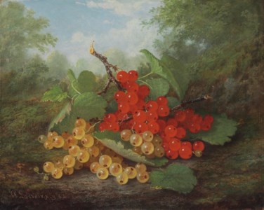 Still Life with Red and White Currants