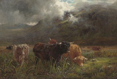 A rough pasture; Showery weather