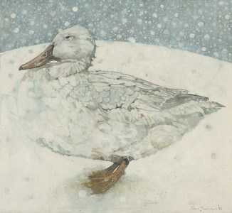 Snow Duck