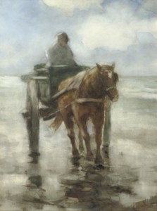 Shell fisher in the surf