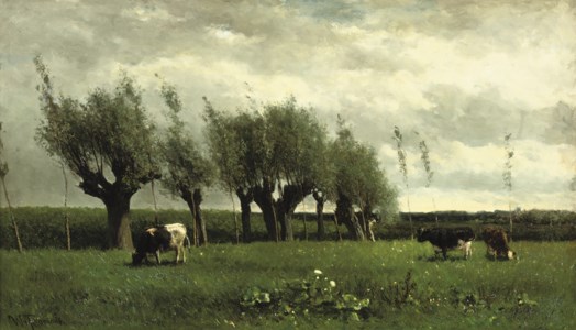 Wilgenrij: cattle grazing near willows