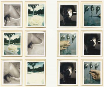 Autopolaroid, 1971