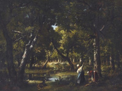 Intérieur de forêt