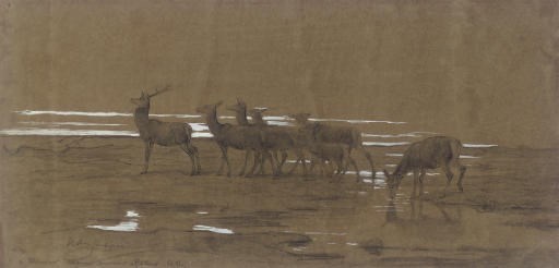The Leading Stag
