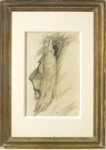 A lion's head in profile, facing left
