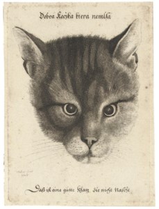 Head of a Cat (Pennington 2109)