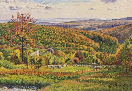 Paysage aux moutons