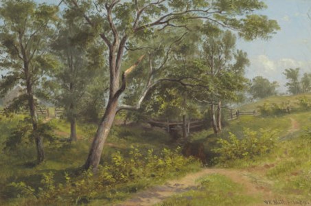 New York Landscape