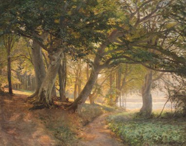 A Summer Woodland