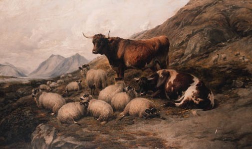 Sheep and Cattle in a mountainous Lanscape
