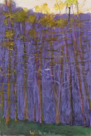 Involved with Purple