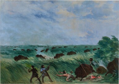 Stampede of a Buffalo Herd