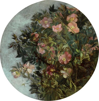 Rose Garden