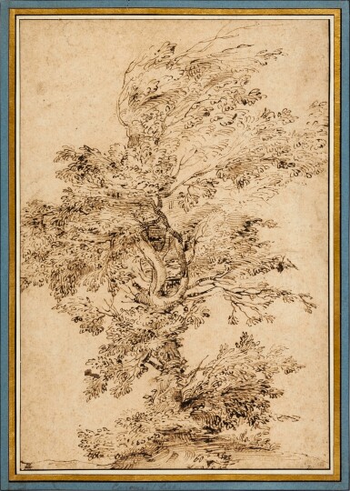 Study of a Tree