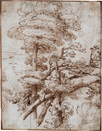 Recto: Trees and branches; Verso: A Tree with a Hilltown in the Distance
