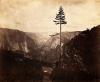 Yosemite Valley from the Mariposa Trail. 1864; printed no later than 1867