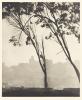 San Francisco from Telegraph Hill. Circa 1920s