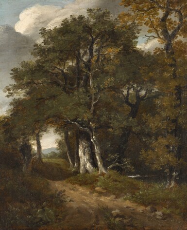 A woodland scene 《樹林一景》   