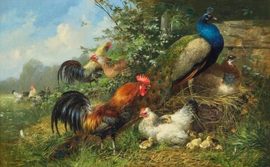 Fowl and Peacocks