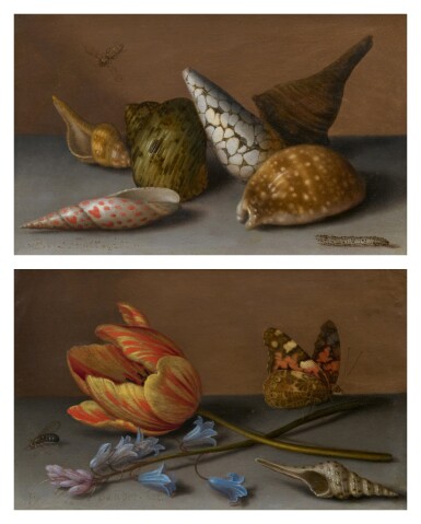 Still Life with Shells, a Fly and a Caterpillar;  Still Life with Flowers, a Fly, a Shell, and a Butterfly