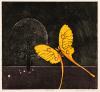 Moon Moth