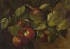 Apples