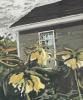 Garden Scene