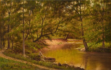 Woodland Interior