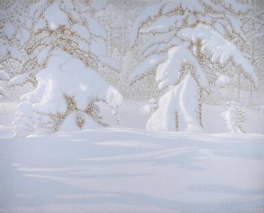 Snow-covered Fir Trees