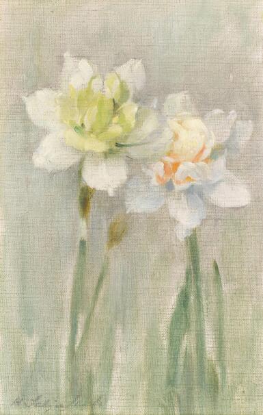 White Narcissi 