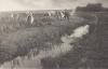 from Life and Landscape on the Norfolk Broads