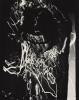 Nude abstraction (Barbara Siegel)