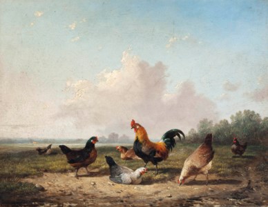 Chickens in pasture