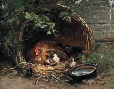 A hen and her chicks in the farmyard