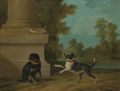 Dogs playing with birds in a park