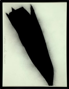 Black Tulip, April 24, 1984