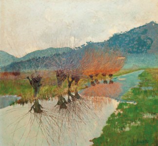 Salice sul canale