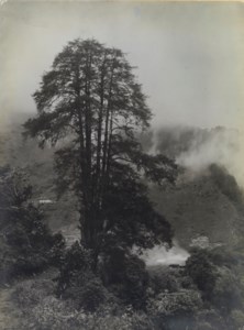 At Lachen Monastery, Sikkim, Himalayas, c. 1899