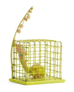 Cage Jaune (Yellow Cage)