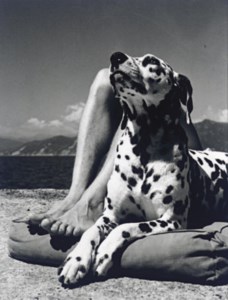 Herr und Hund, 1936