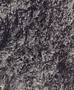 Untitled (5); and two companion photographs, 1989