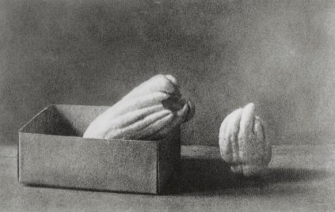 Fingered Citrons (Nojima,1-4), 1990