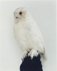 Untitled, 1996-1998