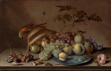Pears, grapes and a peach on a porcelain platter, with apples, a rose, shells, a dragonfly, a caterpillar and a lizard on a stone ledge, with a parrot on an upturned woven basket