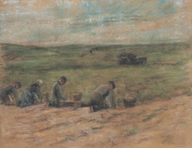 Kartoffelgräber bei Zandvoort