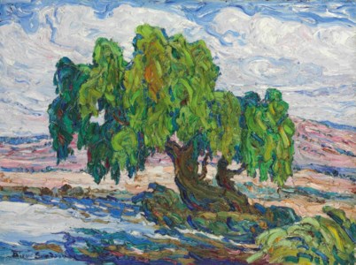 Old Willows
