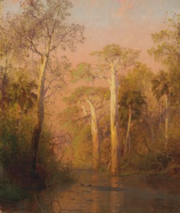 Florida Landscape