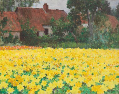 Yellow Nasturtiums